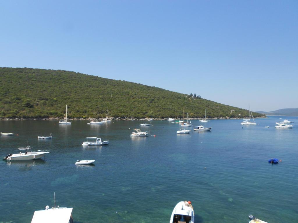 Apartments Vila Lazarevic Tivat Luaran gambar